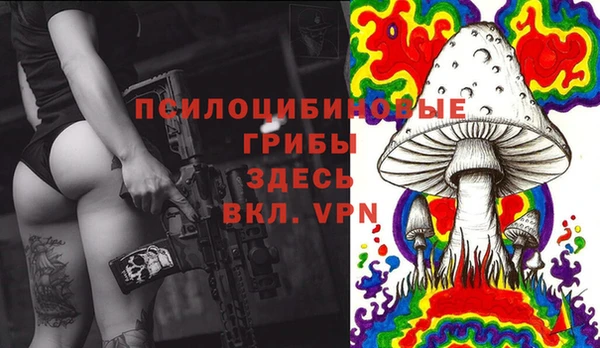 синтетический гашиш Няндома