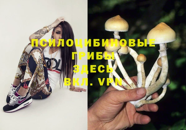 гашиш Нязепетровск