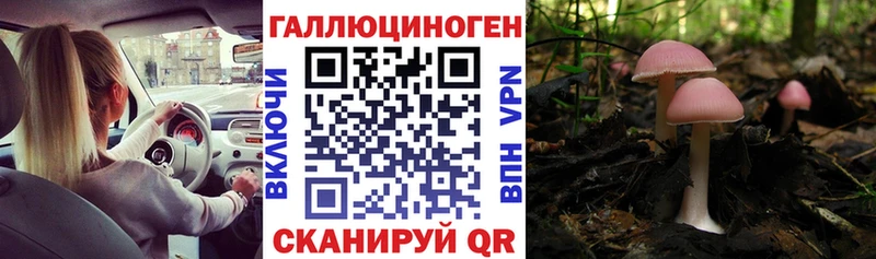Псилоцибиновые грибы мицелий  МЕГА tor  Иркутск  продажа наркотиков 