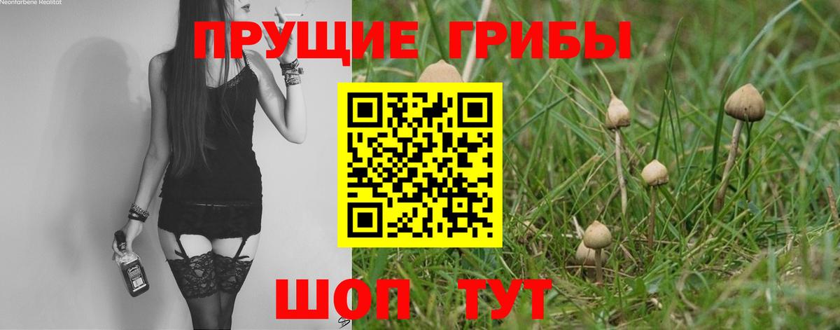 Псилоцибиновые грибы GOLDEN TEACHER  Вход с VPN  Галлюциногенные грибы мухоморы  Иркутск 